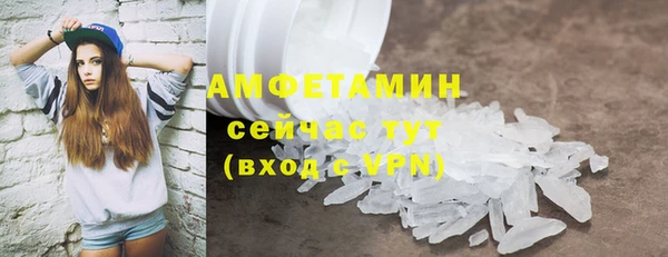 гидра Надым