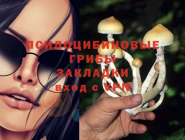 гидра Надым