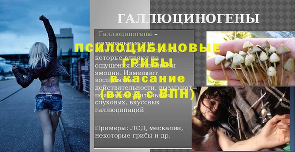 гидра Надым