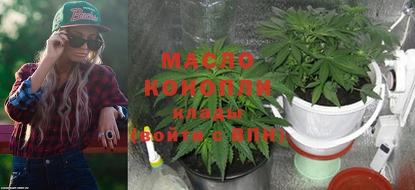 гидра Надым