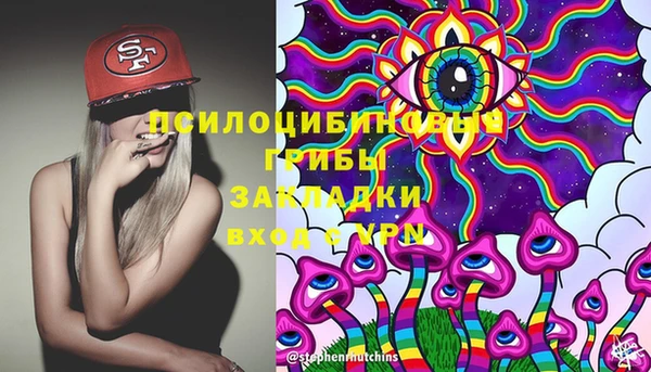 мяу мяу мука Михайлов