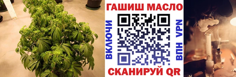 мега как зайти  Дегтярск  ТГК Wax 