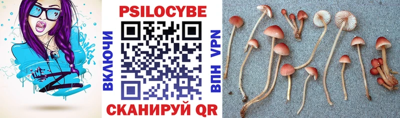 Галлюциногенные грибы ЛСД  Дегтярск 